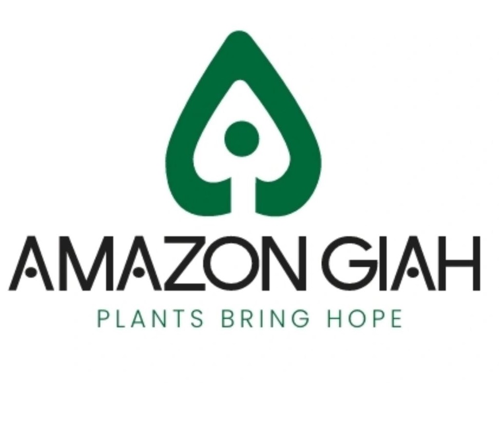 آمازون گیاه